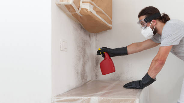 Professional Bathroom Mold Removal technician working in Hershey, PA