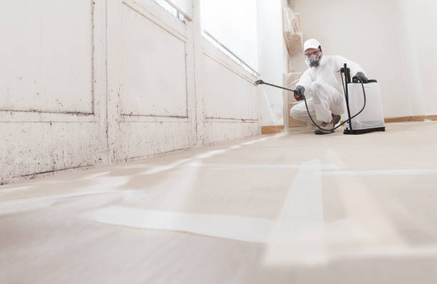 24/7 Emergency Bathroom Mold Removal experts in Hershey, PA